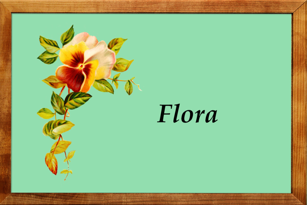 Flora