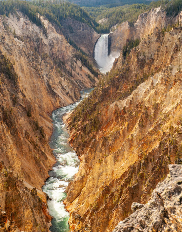 Wildflower hike at Fontenelle Forest @ Fontenelle Forest