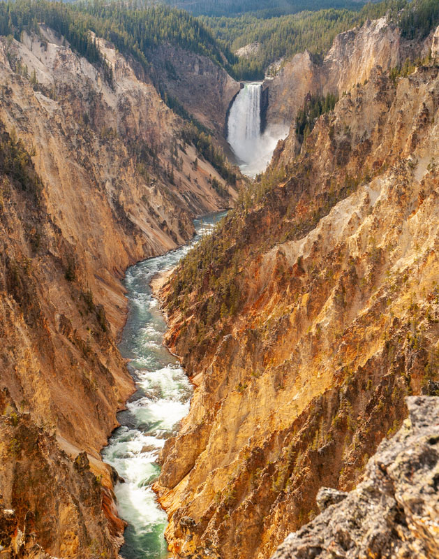 Lower Falls & the Grand Canyon of Yellowstone