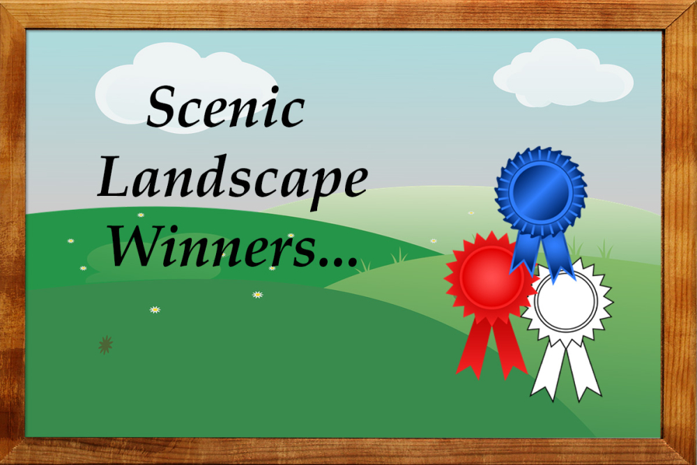 Landscape Winners