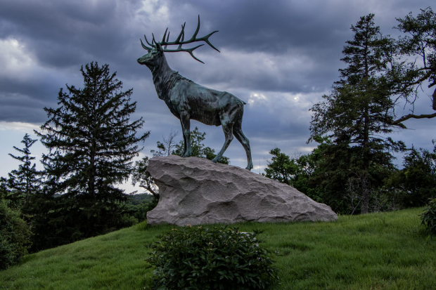 November Meeting Reminder @ Fontenelle Forest