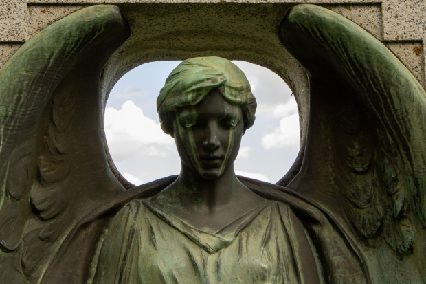 November Meeting Reminder @ Fontenelle Forest