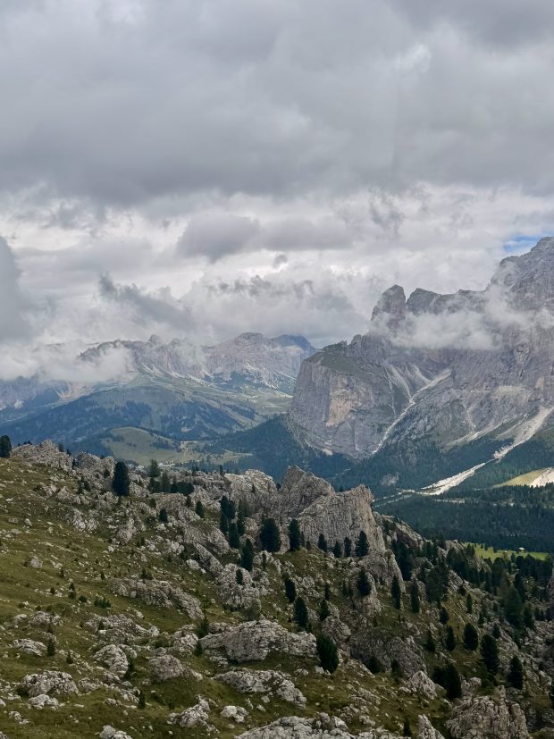 Wildflower hike at Fontenelle Forest @ Fontenelle Forest