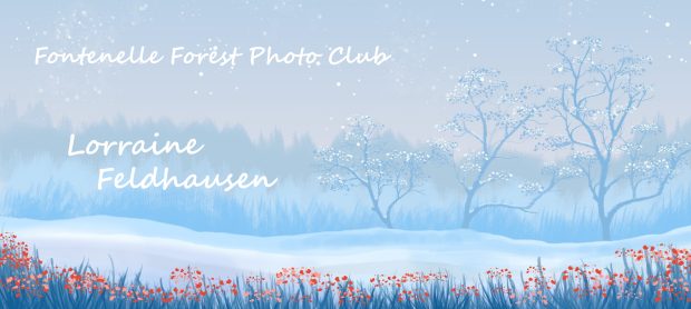 Wildflower hike at Fontenelle Forest @ Fontenelle Forest