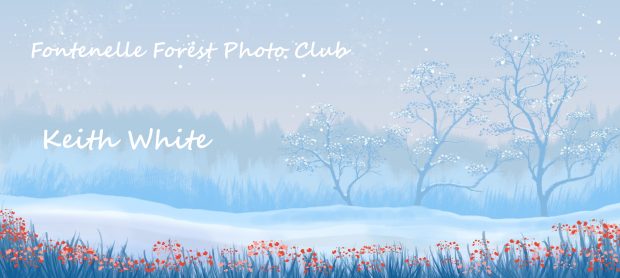 Wildflower hike at Fontenelle Forest @ Fontenelle Forest