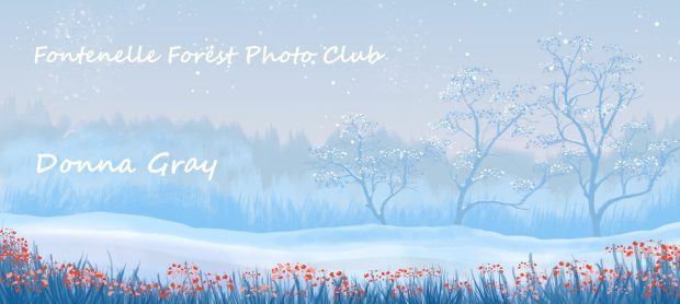 Wildflower hike at Fontenelle Forest @ Fontenelle Forest