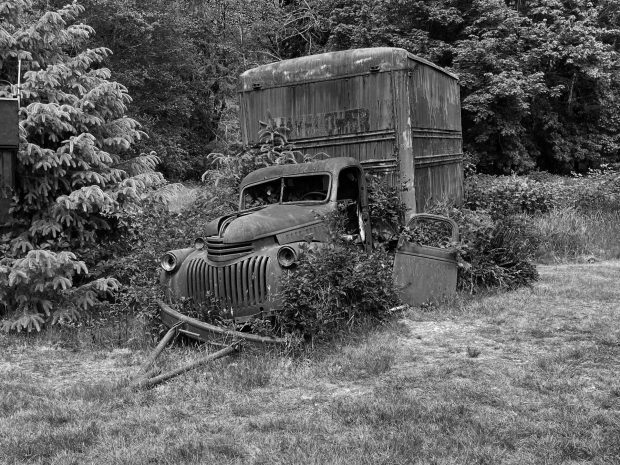 Wildflower hike at Fontenelle Forest @ Fontenelle Forest
