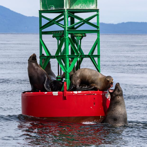 Wildflower hike at Fontenelle Forest @ Fontenelle Forest