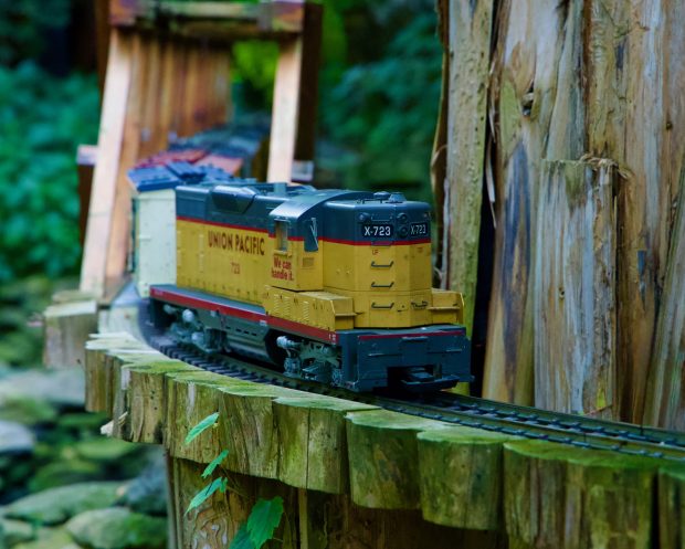 Wildflower hike at Fontenelle Forest @ Fontenelle Forest