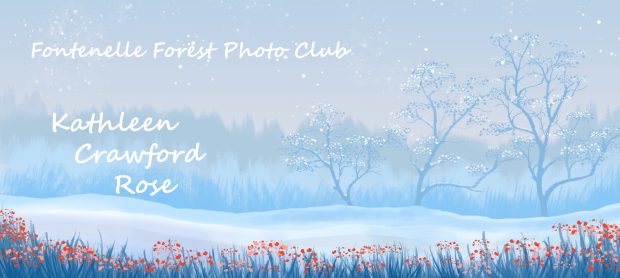 Wildflower hike at Fontenelle Forest @ Fontenelle Forest