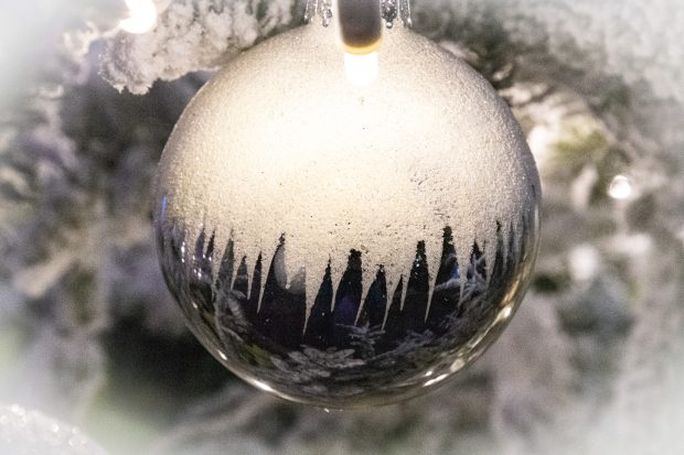 Wildflower hike at Fontenelle Forest @ Fontenelle Forest