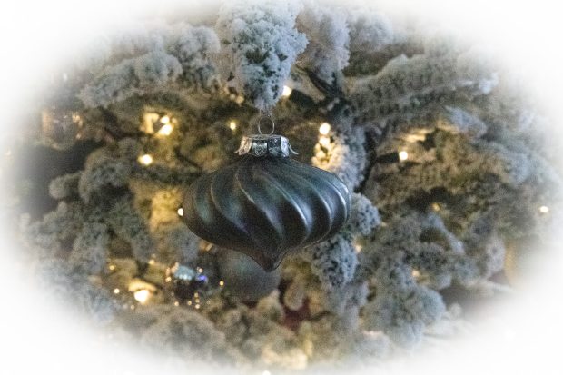 Wildflower hike at Fontenelle Forest @ Fontenelle Forest