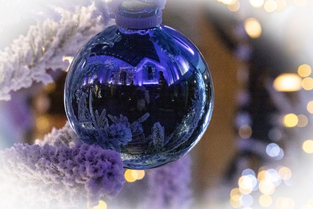 Wildflower hike at Fontenelle Forest @ Fontenelle Forest