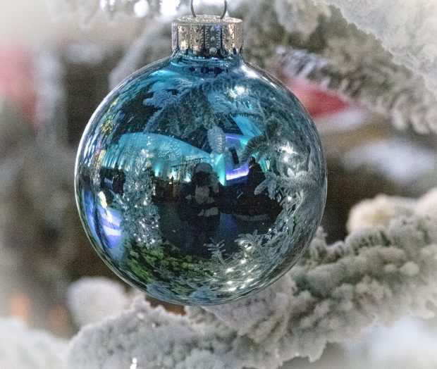 Wildflower hike at Fontenelle Forest @ Fontenelle Forest