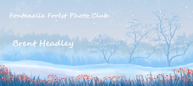 Wildflower hike at Fontenelle Forest @ Fontenelle Forest