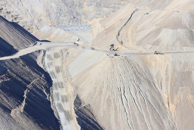 Wildflower hike at Fontenelle Forest @ Fontenelle Forest