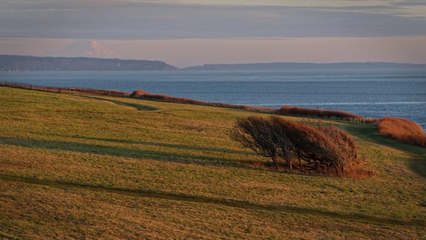 Wildflower hike at Fontenelle Forest @ Fontenelle Forest