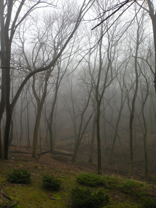 May 21st, 2026 Meeting – Early start 6:30pm @ Camp Brewster - Photograph the Raptors of Fontenelle Forest. @ Camp Brewster