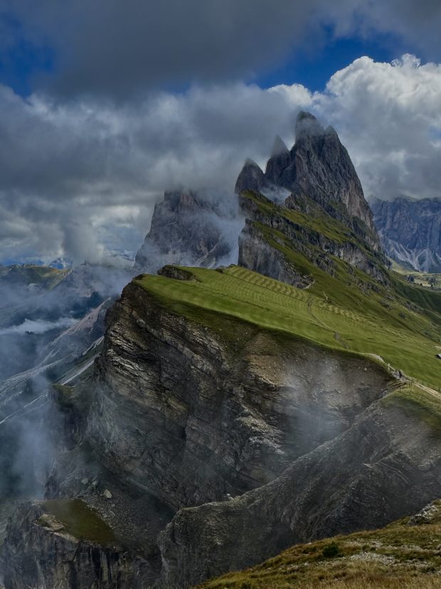 Wildflower hike at Fontenelle Forest @ Fontenelle Forest
