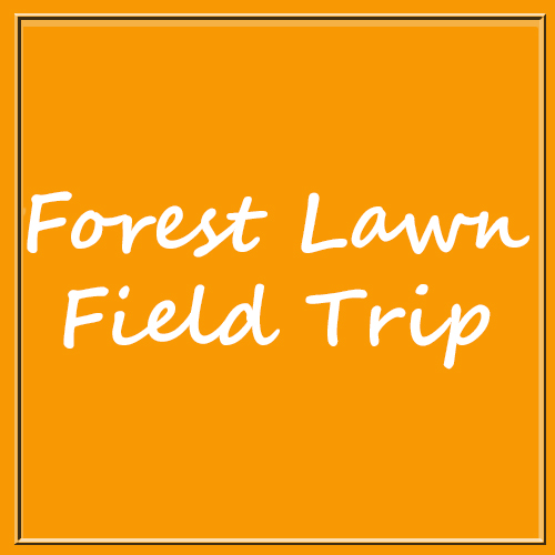 Forest Lwn-500x500