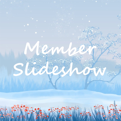 Slideshow-500x500
